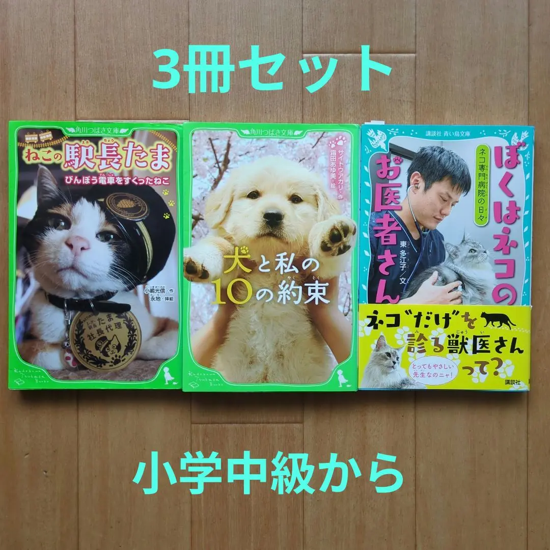 レア品　たま　犬の約束　ろけっと　プロモ版　非売品　見本品　2枚セット売り 犬の約束 - たまのアルバム - Apple Music