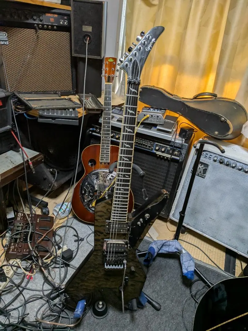 2025年最新】5弦 schecterの人気アイテム - メルカリ