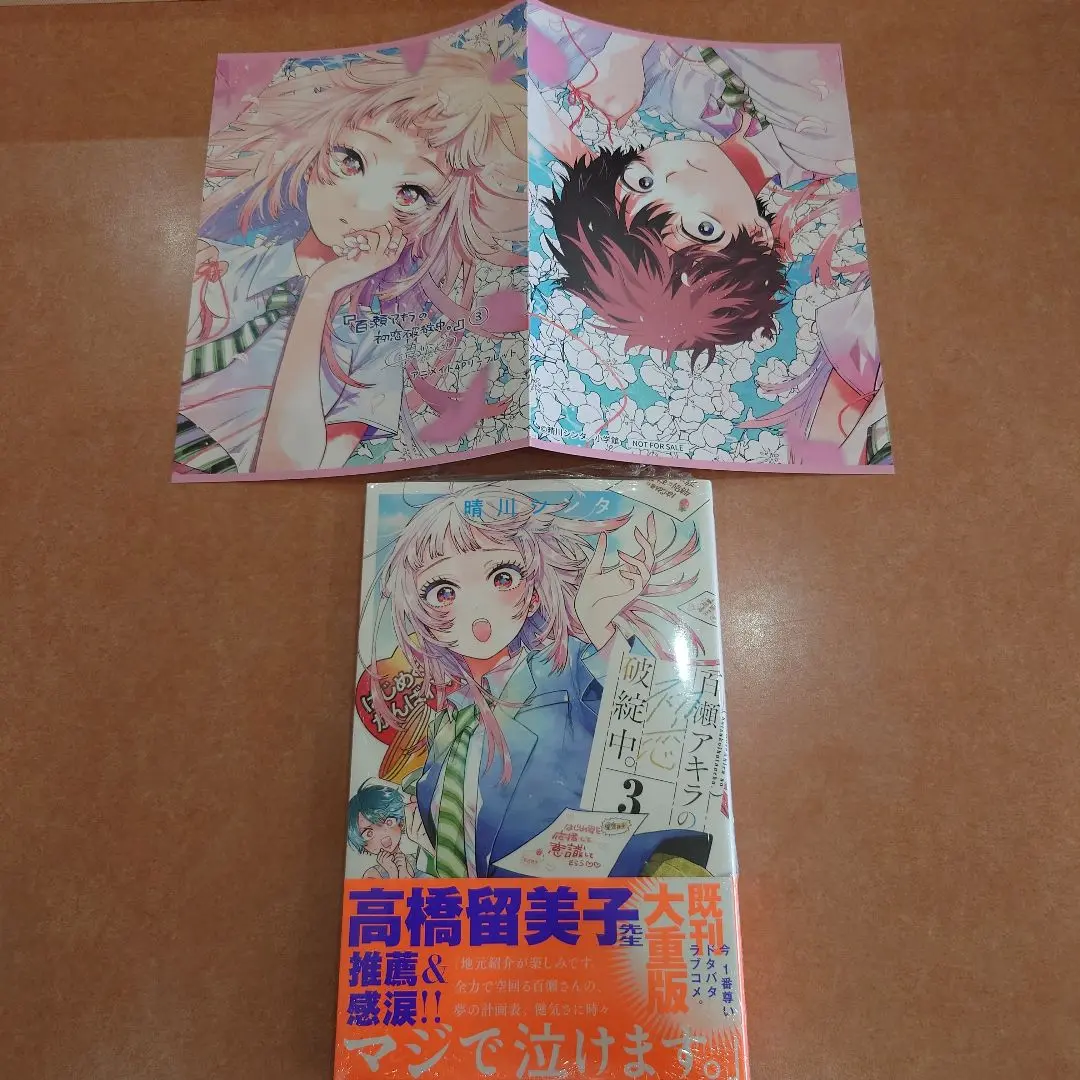 初版 特典 1巻 百瀬アキラの初恋破綻中。 アニメイト リーフレット 描き下ろし 小学館 - 百瀬アキラの初恋破綻中。 1巻の通販 by 古い物要確認