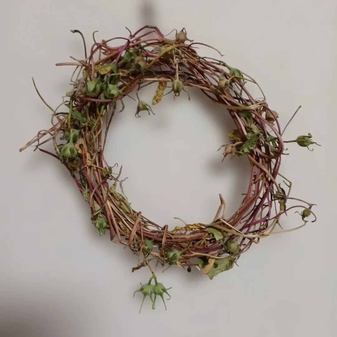 天然素材製乾燥花環 的縮圖