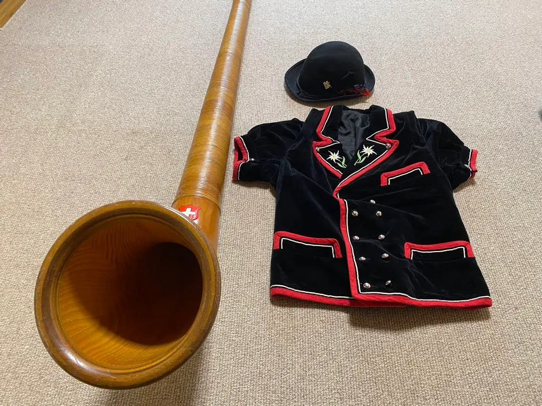 2025年最新】アルプホルンの人気アイテム - メルカリ