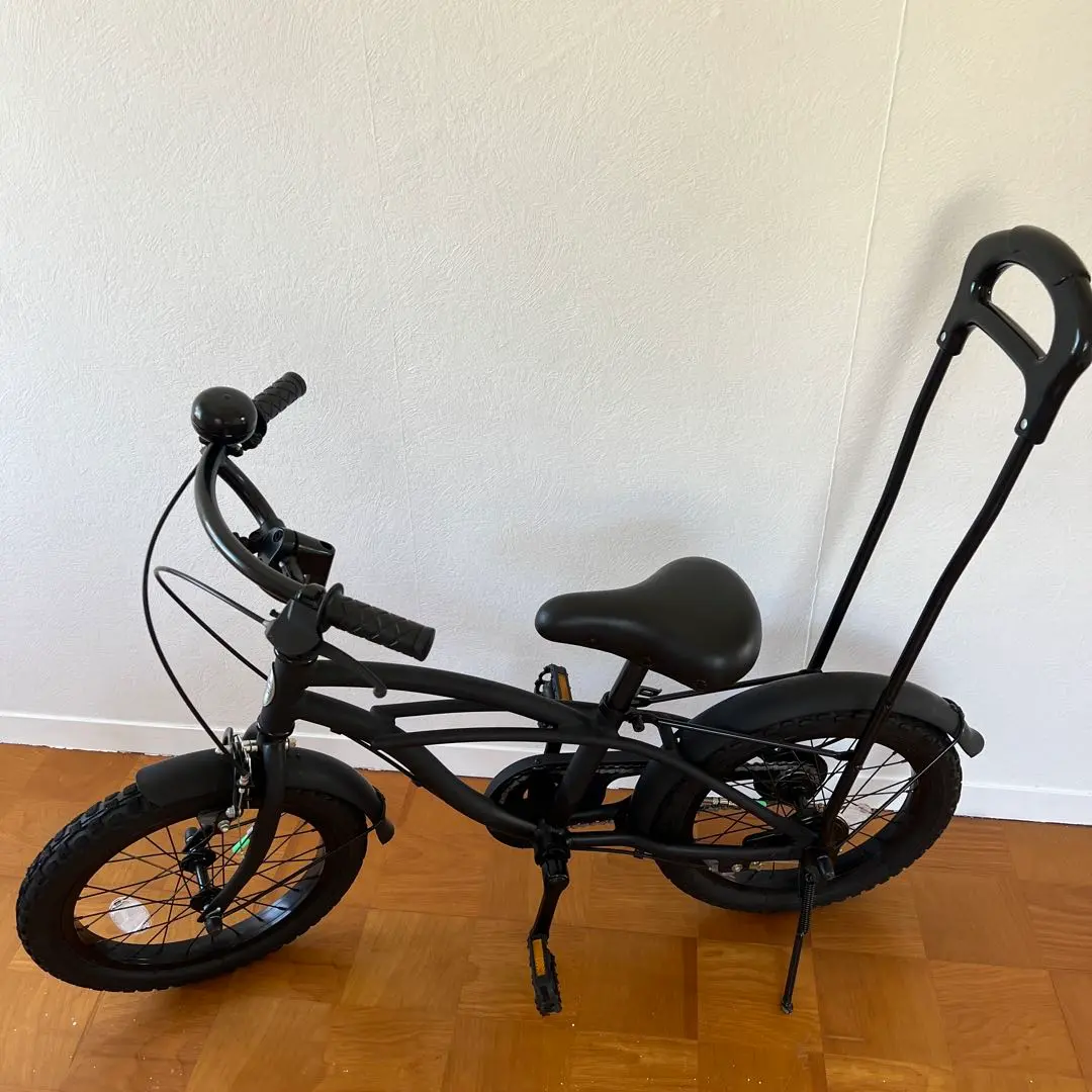 the PARK ビーチクルーザー　マットブラック16インチ the park キッズ自転車