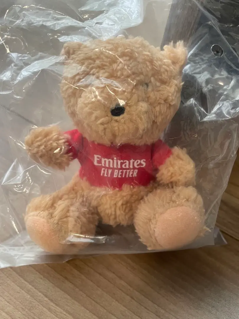 『キムタクかっこいいからエミレーツ航空　emirates 人形　ぬいぐるみ 2025年最新】エミレーツ ぬいぐるみの人気アイテム - メルカリ