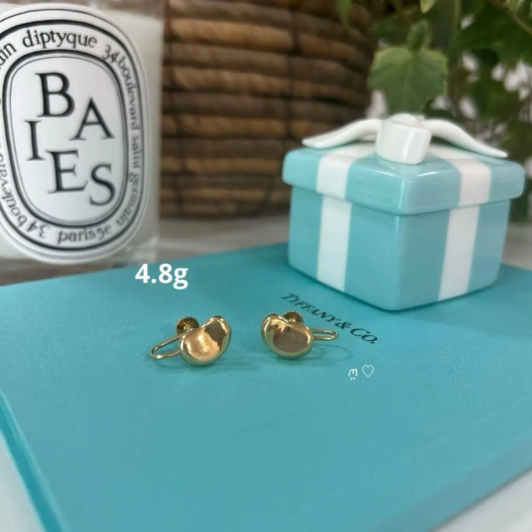 ティファニー　TIFFANY　グルーブド　イヤリング　廃盤　希少　レア　良品 TIFFANY&Co. ティファニー シグネチャー イヤリング シルバー