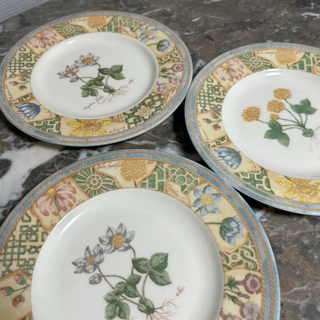 2025年最新】wedgwood garden mazeの人気アイテム - メルカリ