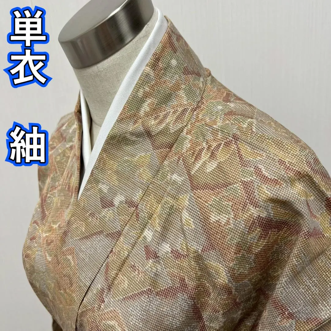 KL3277 單衣 紬 身丈152.5cm 正絹 單衣和服 的縮圖