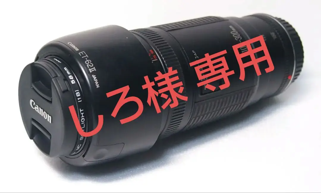 望遠レンズ/ CANON ZOOM LENS EF 100-300mm F5.6