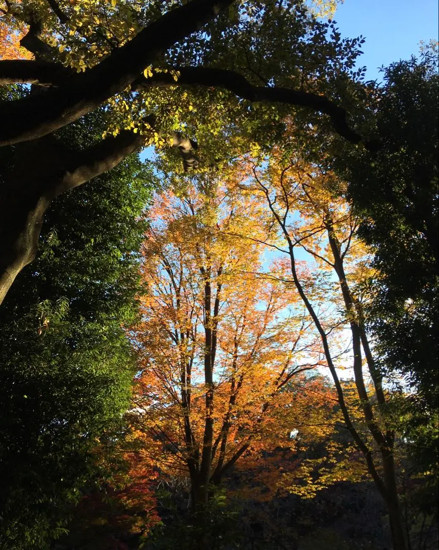 蓬鬆帽子 蓬鬆白灰花呢 深藍◆L尺寸 羊毛 手工製作　へ 的縮圖