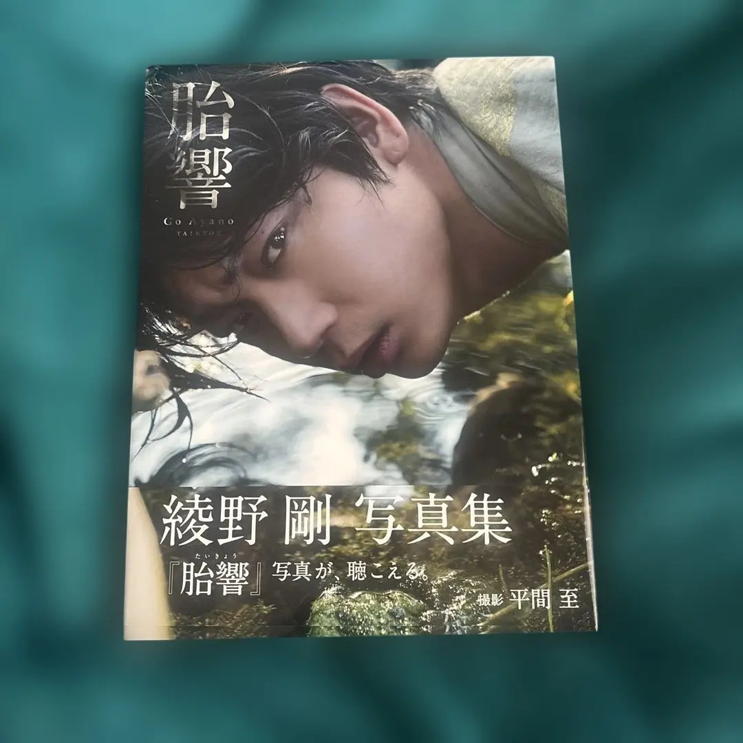 2025年最新】胎響 綾野剛の人気アイテム - メルカリ