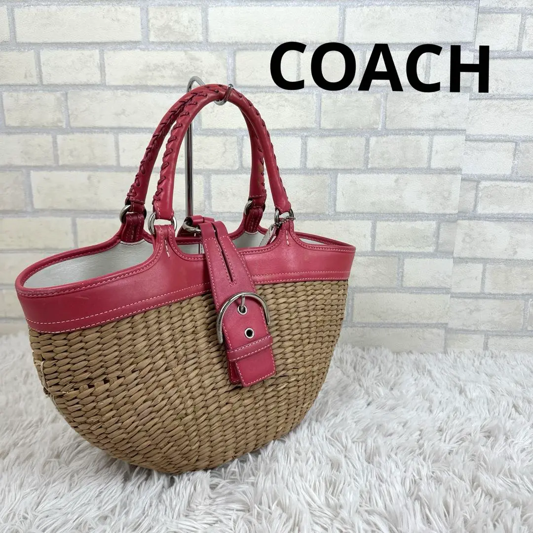 ティアナ　コーチ　COACH COACH 2021新作 コーチ ファクトリー ディズニー コラボ ミニ