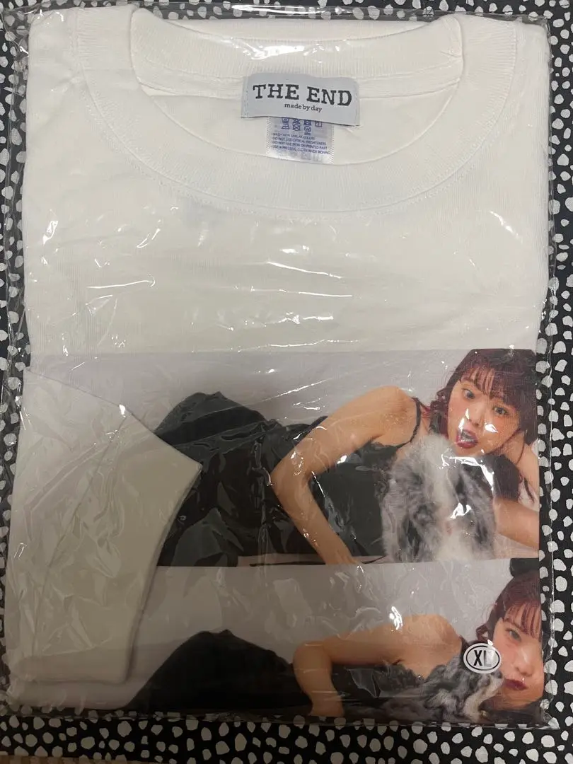 【ina出品】アイナジエンド 武道館 オルゴール ina様 専用出品】アイナジエンド 武道館 オルゴール