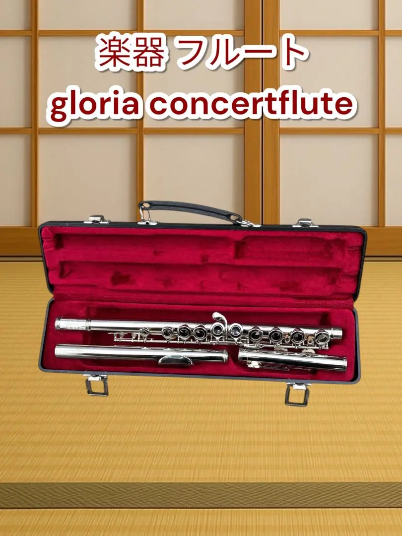 フルート本体 GLORIA Concertflute 2025年最新】gloria フルートの人気アイテム - メルカリ