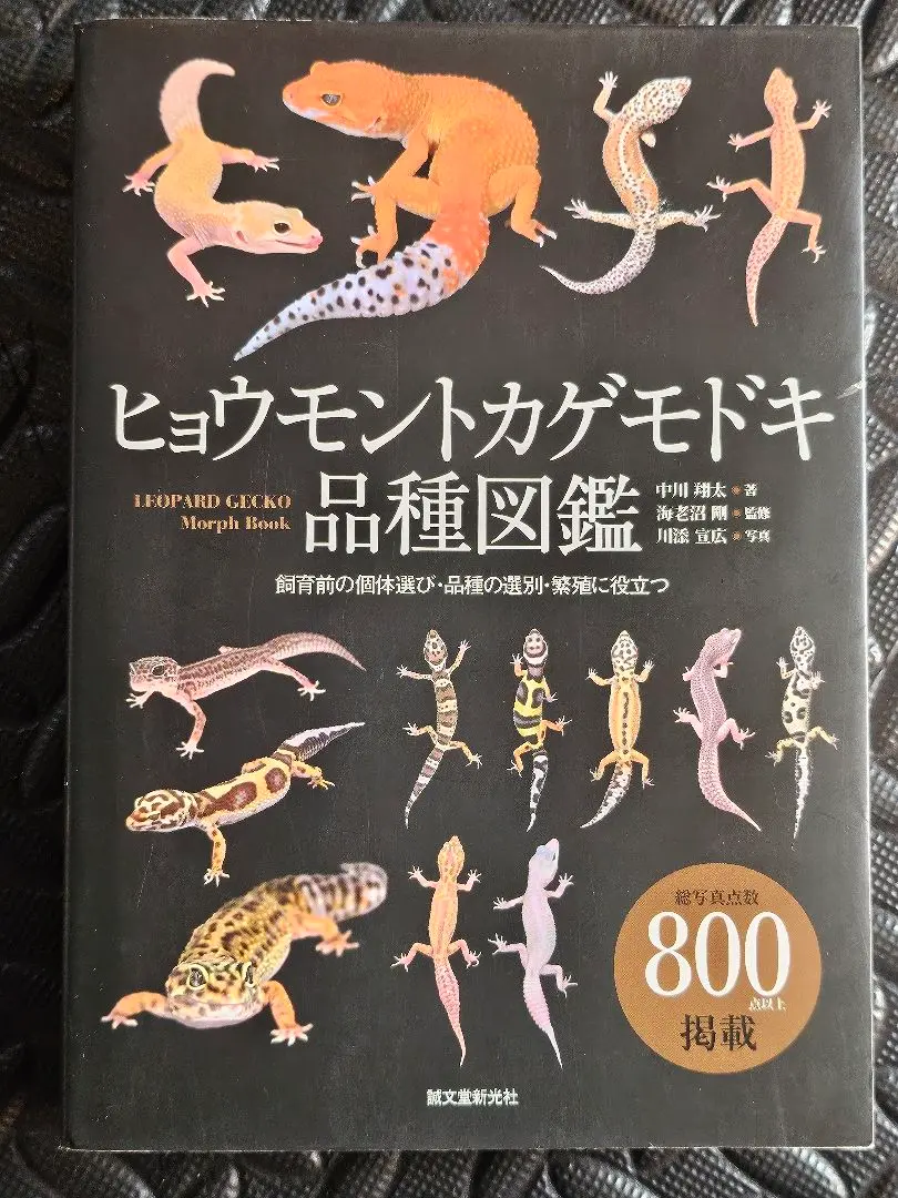 公式 ストア本・雑誌・漫画 - ヒョウモントカゲモドキ品種図鑑