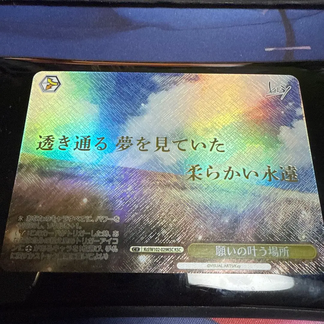 ヴァイス　願いの叶う場所へ　ksc 2025年最新】願いの叶う場所 kscの人気アイテム - メルカリ