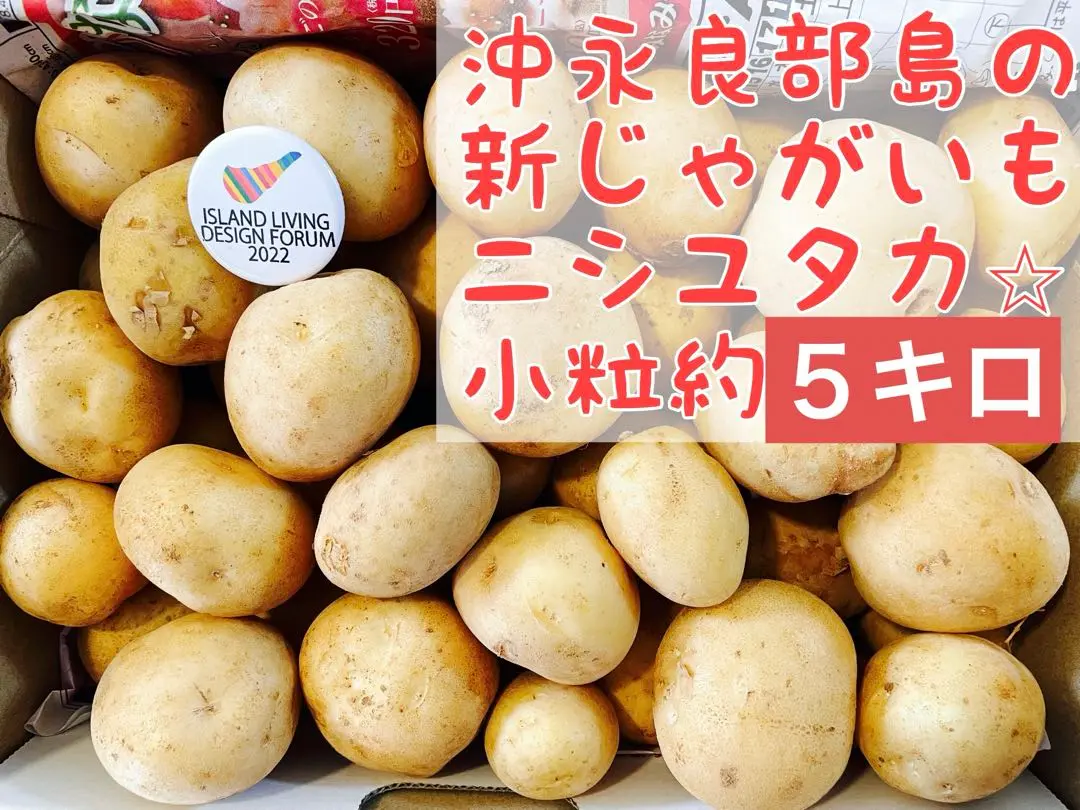 はるページ　コロコロ新じゃが小玉サイズ20キロ 掘りたて】種子島産 新じゃがいも 2S・S・Mサイズ 20kg(箱別