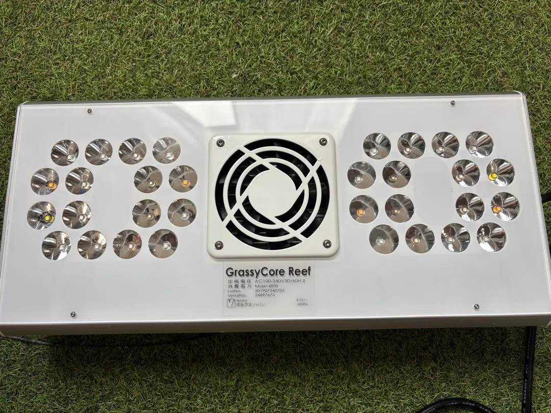 【値下げ！】グラッシーコアリーフ GrassyCoreReef (おまけ付き) GrassyCore Reef / リーフ - ボルクスジャパン ダイレクト