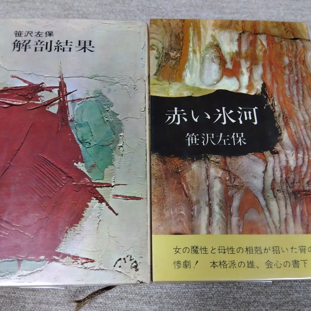 Thumbnail of Sasazawa Saho Kaihou Kekka Akai Hyoga Set (Used Book)
