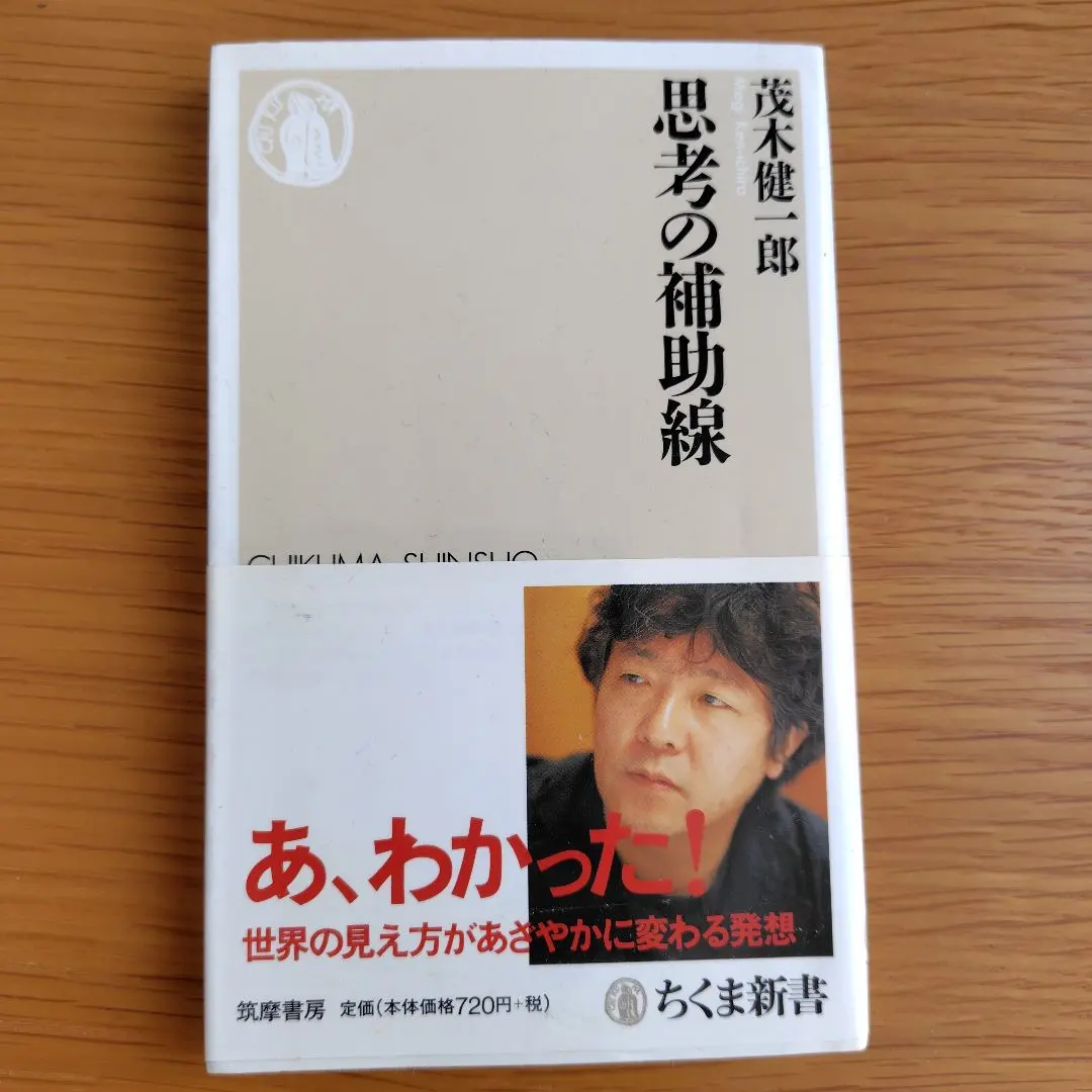 Thumbnail of Auxiliary Lines of Thought by Kenichiro Mogi