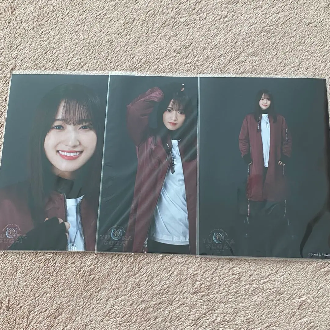 2025年最新】菅井友香 生写真 シークレットの人気アイテム