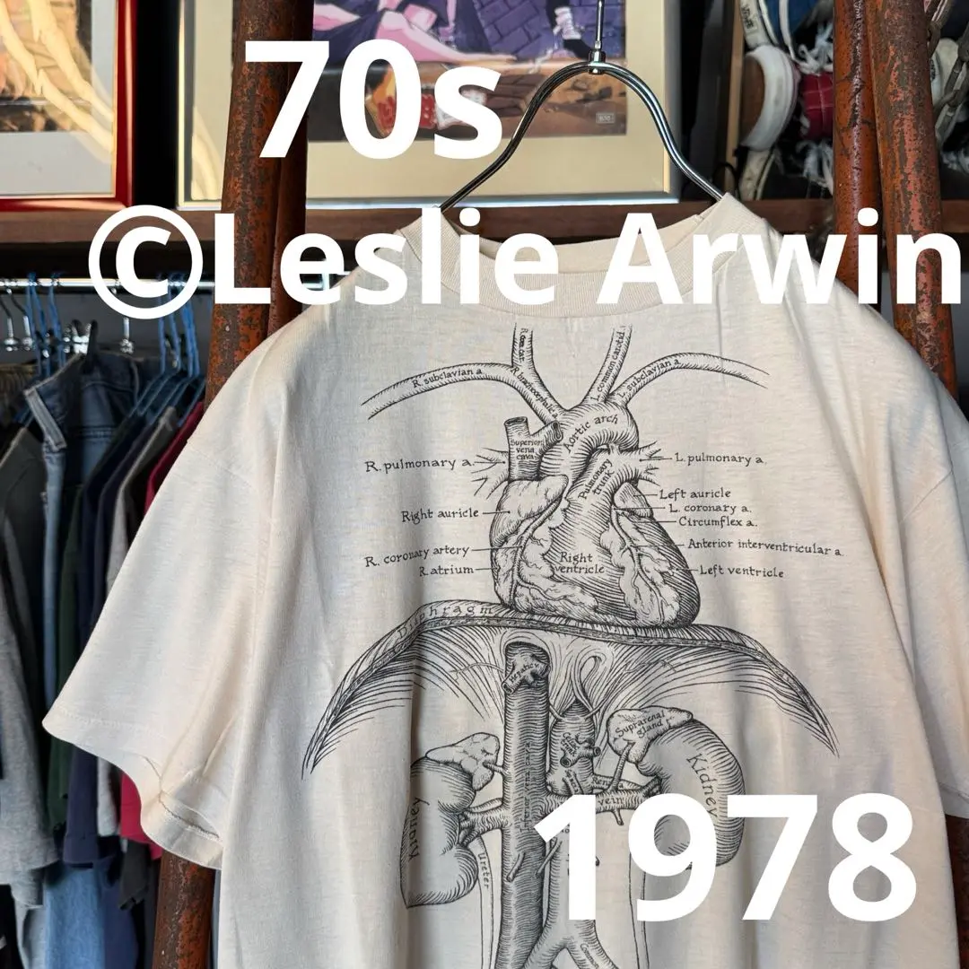 ビンテージ　Leslie Arwin 人体骨格　ボーン　グッドフェード wap192001zd525.jpg