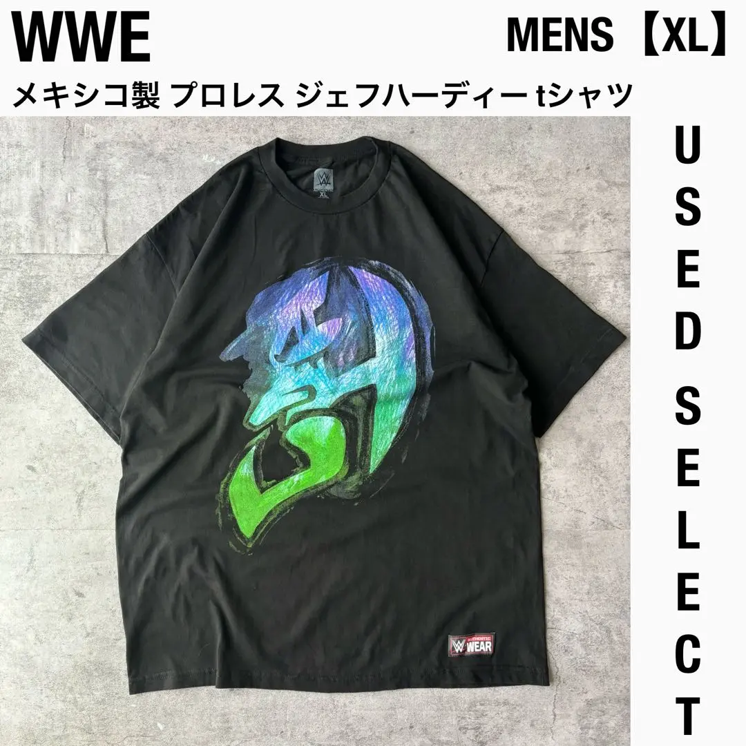 WWE フィギュア ダブルスラムシリーズ4 ハーディーボーイズ(マット&ジェフ) WWF Hardy Boys DOUBLE SLAM 4 Matt Jeff Hardy WWE Jakks