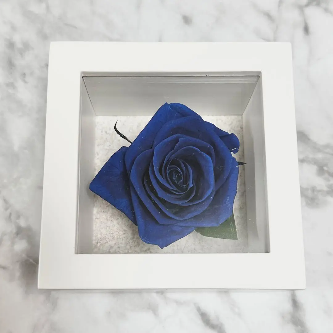 Blue Rose さん　専用 Blue rose☆さん専用