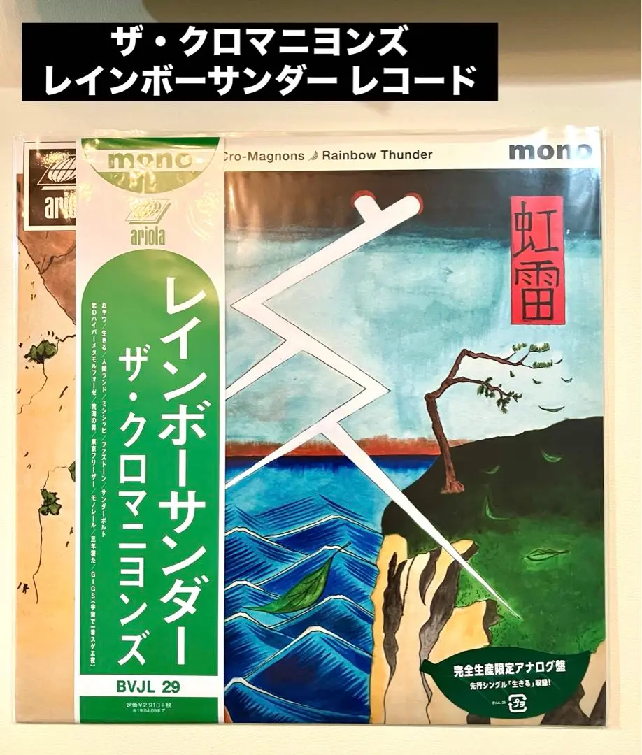 ザ・クロマニヨンズ/レインボーサンダー /LPレコード/未開封品 2025年最新】クロマニヨンズ レコード レインボーサンダーの人気