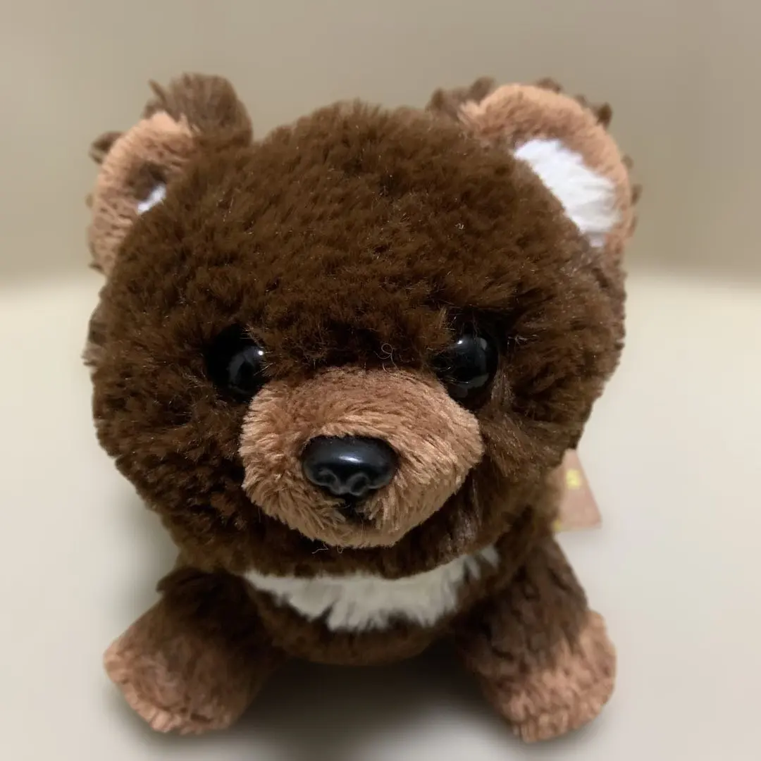 三麗鷗 Fluffies 小熊 玩偶 S 的縮圖