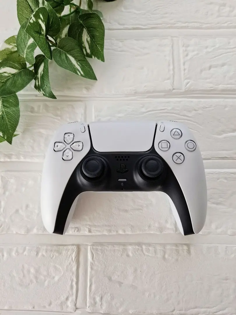 【故障品】PS5 DualSense 無線控制器➁ 的縮圖