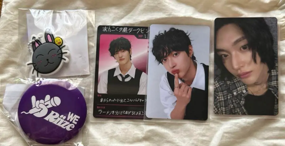 RIIZE ランダムトイ　ウォンビン　WONBIN コンプリート 6点セット RIIZE ランダムトイ ウォンビン WONBIN コンプリート 6点セット