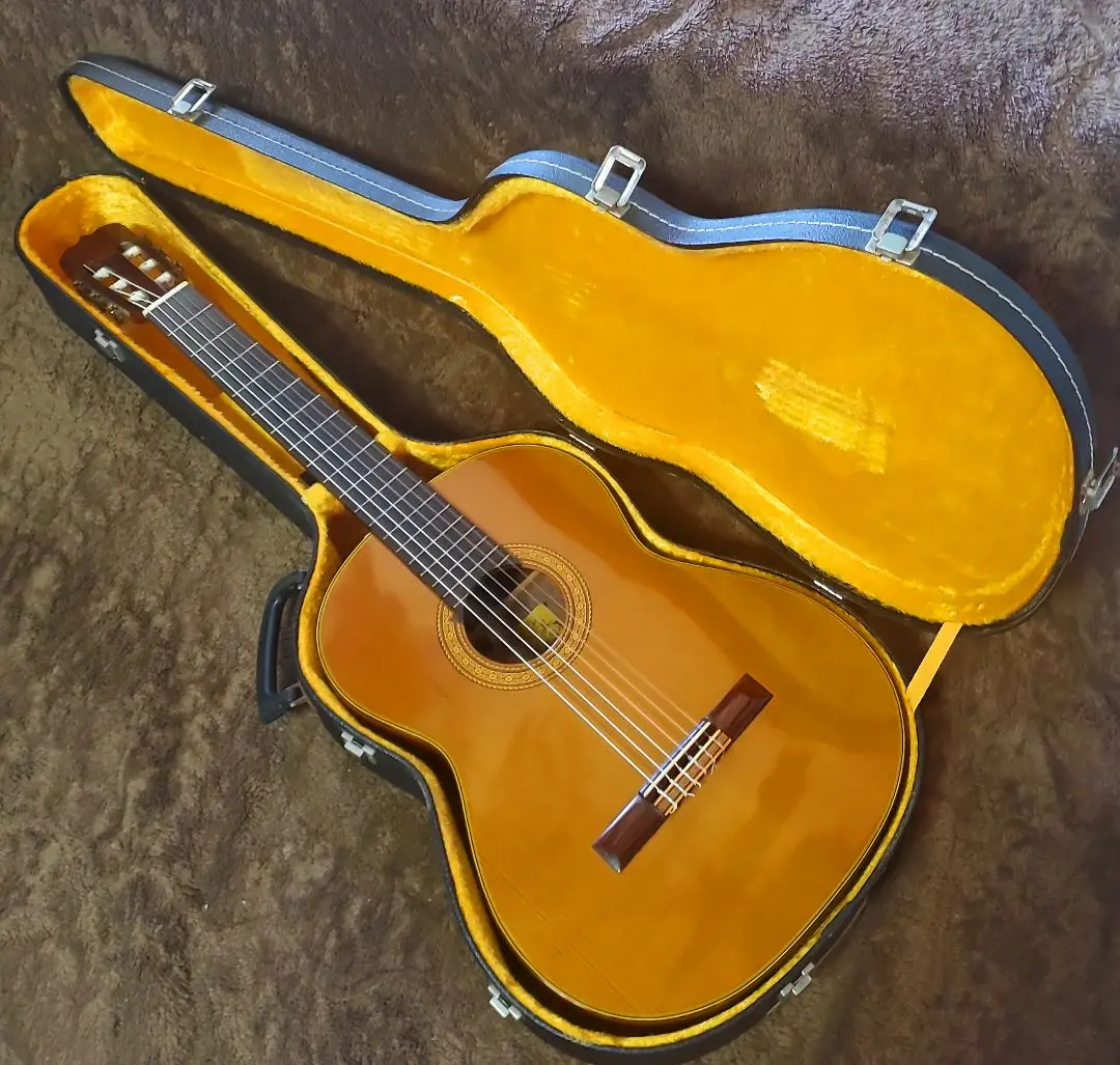 2025年最新】takamine eliteの人気アイテム - メルカリ