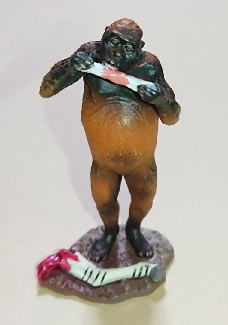 アウストラロピテクス·アフリカヌス模型 アウストラロピテクス·アフリカヌス模型