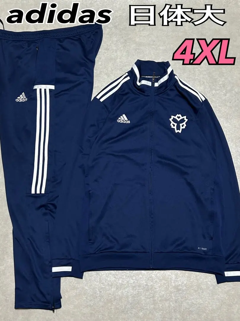 2025年最新】日体大 ジャージの人気アイテム - メルカリ