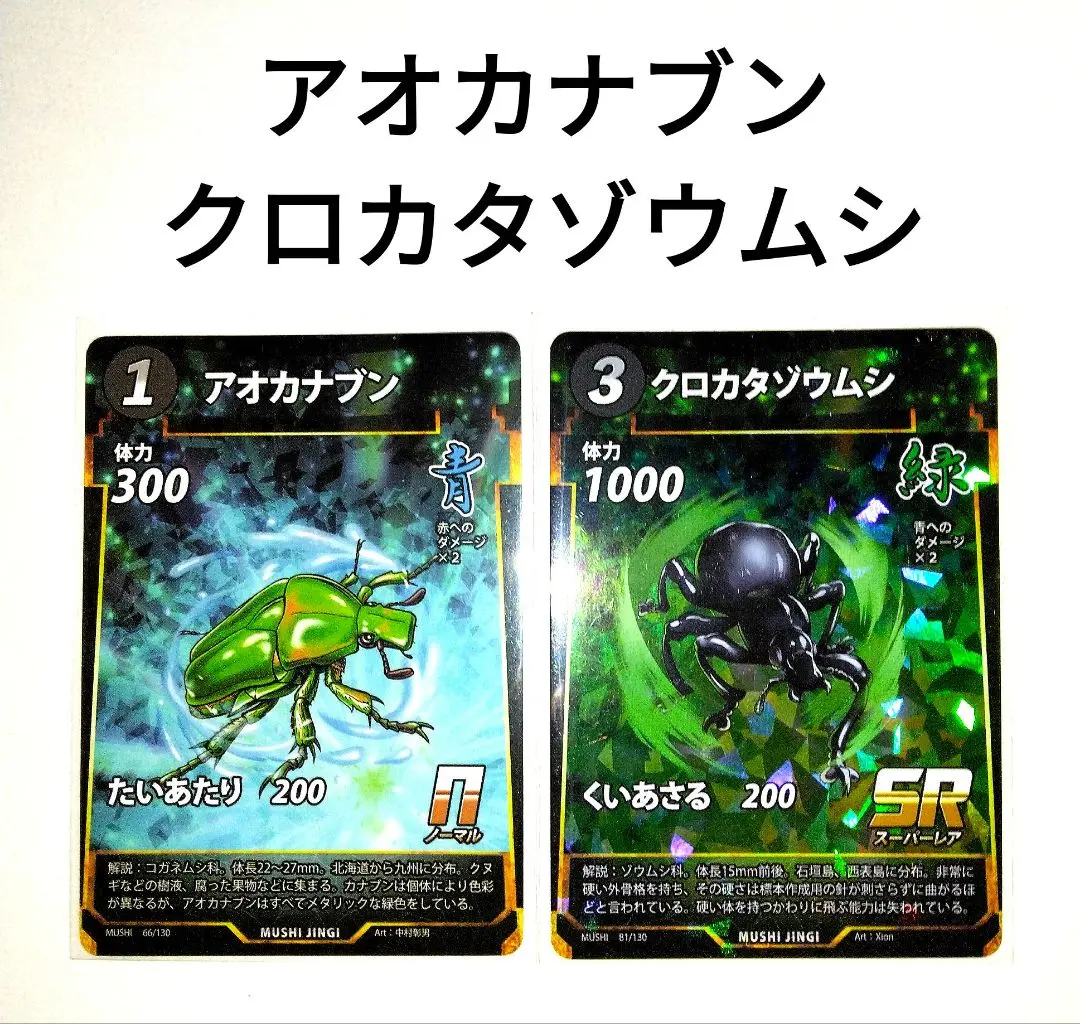 蟲神器 アオカナブン 旧イラスト版