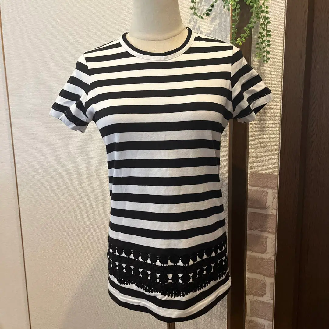 Y's ワイズ　半袖Tシャツ　ボーダー　サイズ2 2025年最新】Y's 柄・デザイン：ボーダー レディース 半袖(T