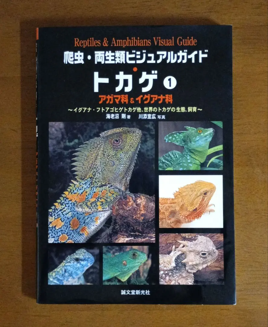爬虫類・両生類ビジュアルガイド カエル 1・2セット カエル (1) (爬虫・両生類ビジュアルガイド) | 海老沼 剛, 川添