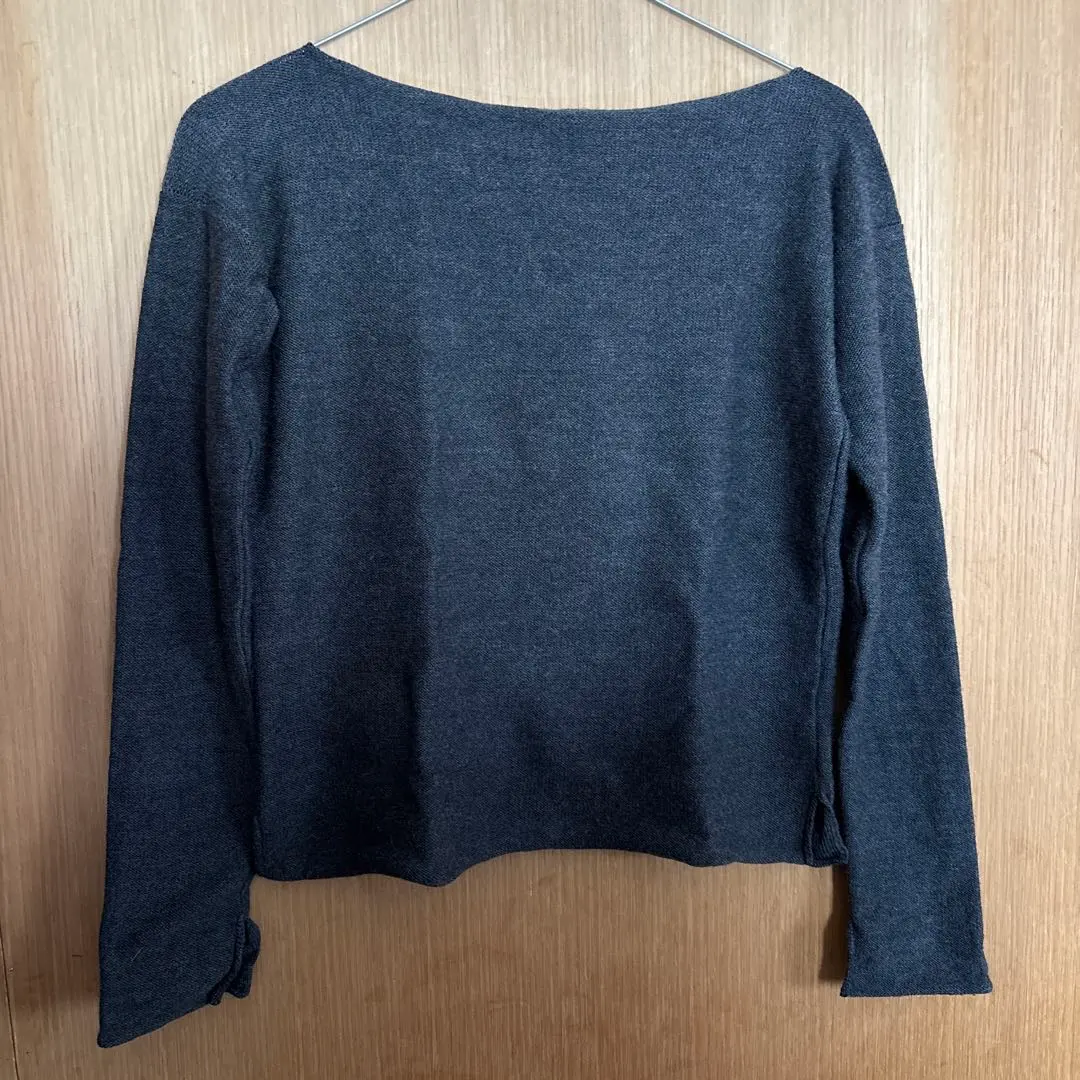 2025年最新】ボートネック ダニエラグレジスの人気アイテム - メルカリ