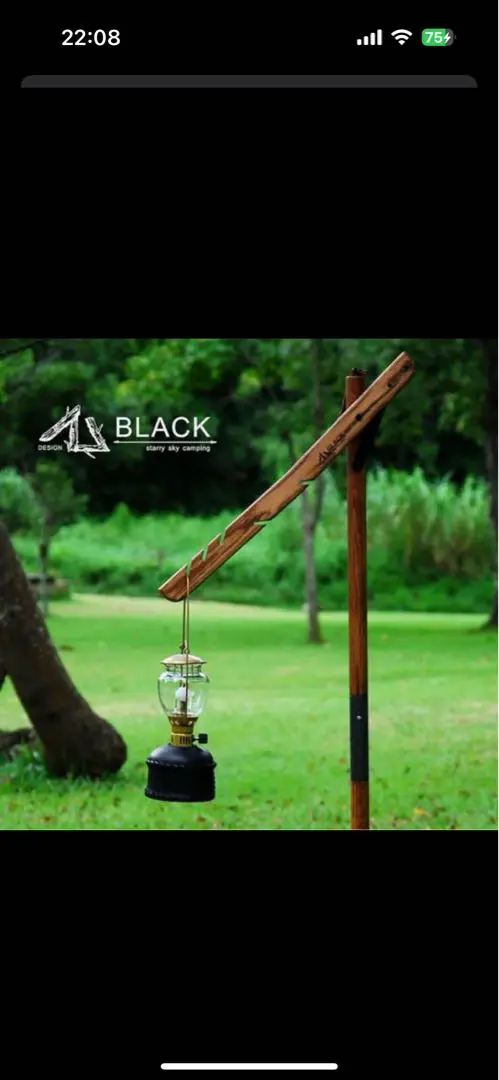 BLACK DESIGN ブラックデザイン シダレザクラ