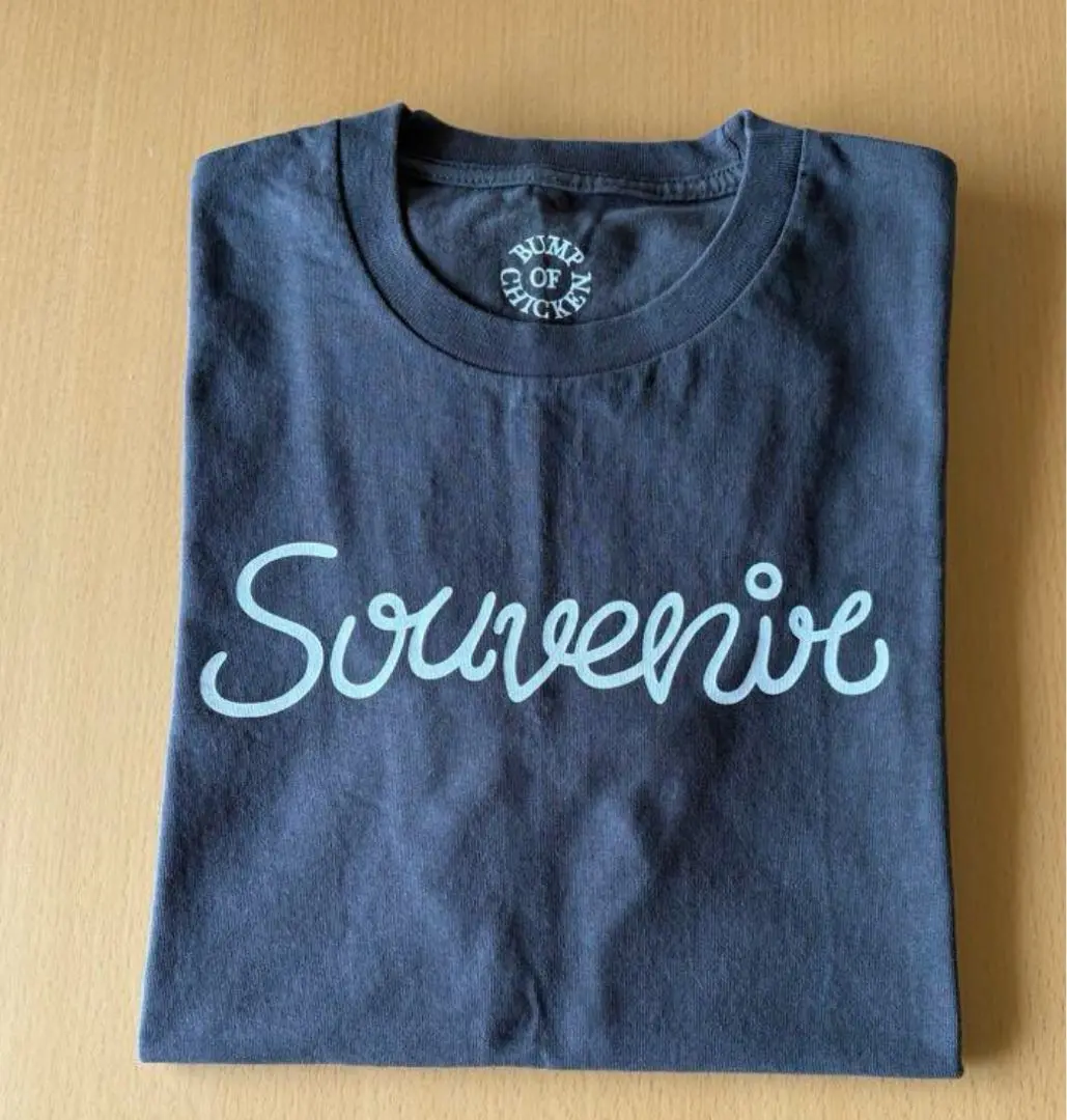 2025年最新】SOUVENIR tシャツ bumpの人気アイテム - メルカリ