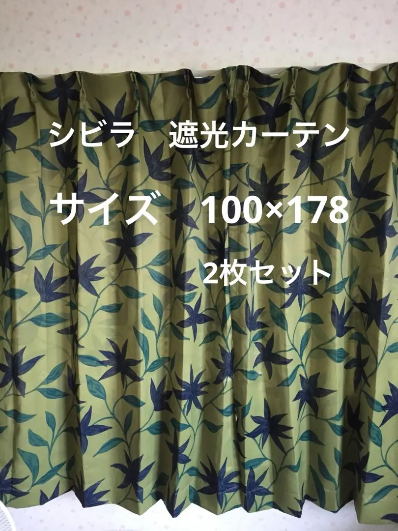 2025年最新】ドレープカーテン Sybilla シビラの人気