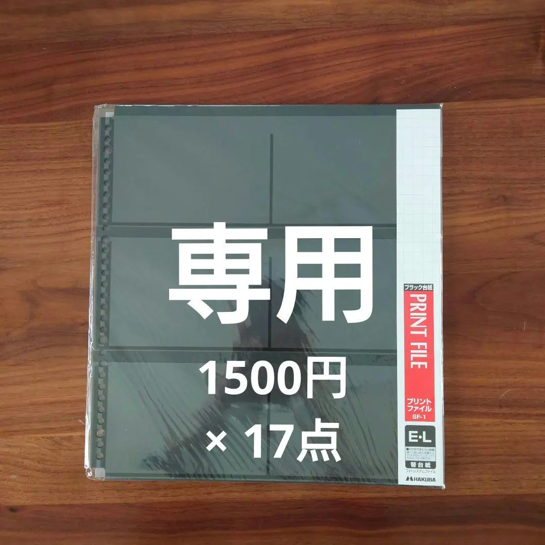 2025年最新】HAKUBA フォトシステムファイル SF-1替台紙の人気