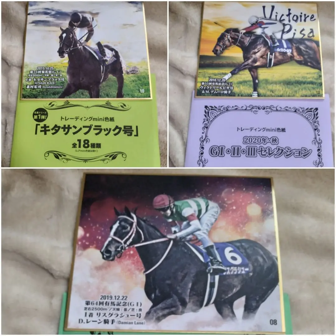 北村宏司 直筆サイン 色紙 キタサンブラック キタサンブラック号」トレーディングmini色紙 – kawaraban