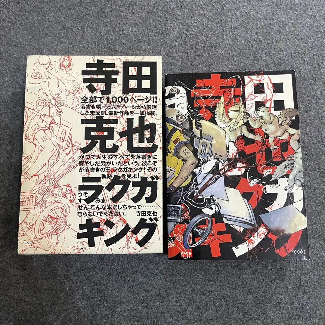 寺田克也ラクガキング / 寺田克也　アスペクト / 再版 Amazon.com: Rakugaking: 9784757208858: Terada Katsuya: Books