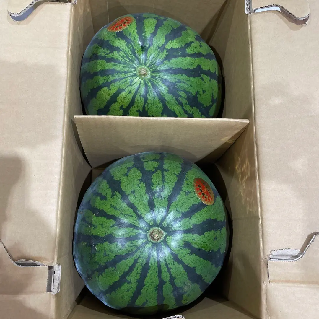0596千葉県産丸朝大玉スイカ良品4Lサイズ1箱2玉入り 2025年最新】まるあさ大玉スイカの人気アイテム - メルカリ