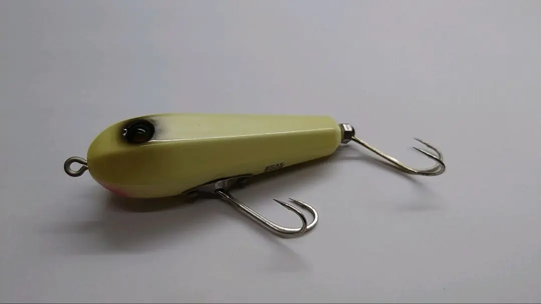 ズイール‼️レア‼️パンチョ‼️ ramblefish_rf-24986