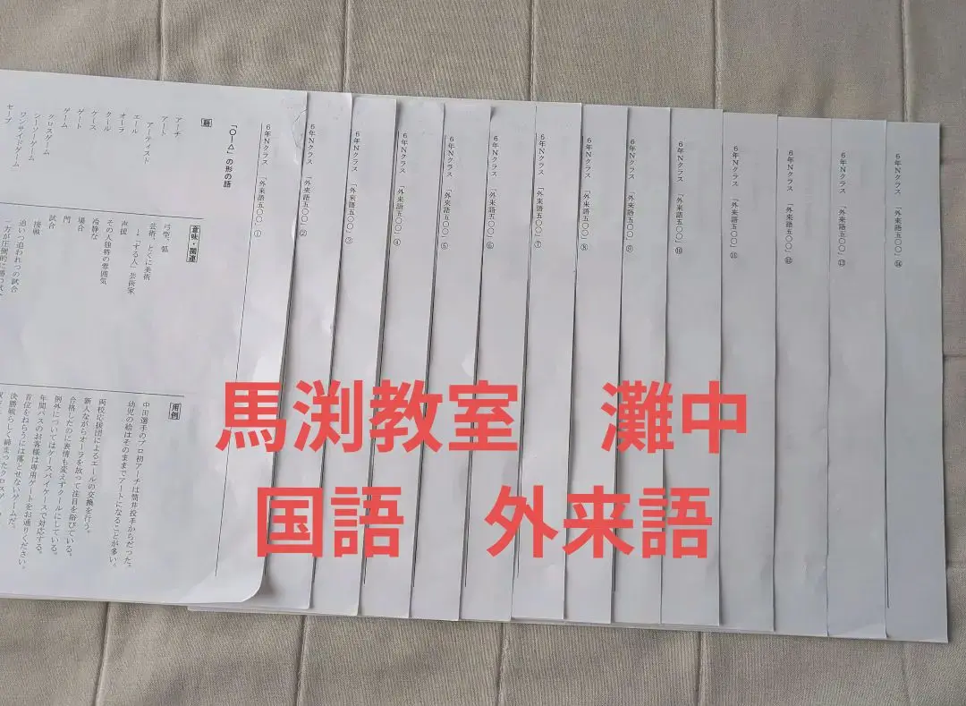 灘中国語対策　ABCDE 国語知識13種➕外来語➕俳句➕漢字パズル➕過去問漢字 灘中国語対策 ABCDE 国語知識13種➕外来語➕俳句➕漢字