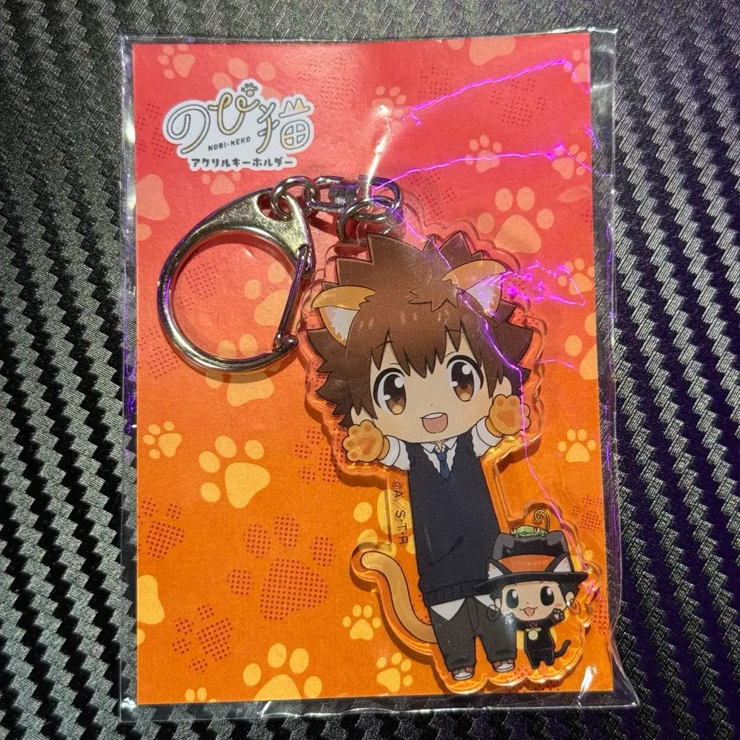 Thumbnail of [Price Reduced] Katekyo Hitman Reborn! Sawada Tsunayoshi Nobineko Keychain