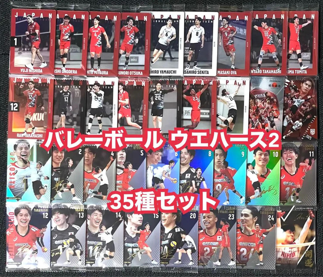 山内晶大　レプリカユニフォーム　Ｌサイズ 大阪ブルテオン 山内晶大選手 ホーム（青）レプリカユニフォーム