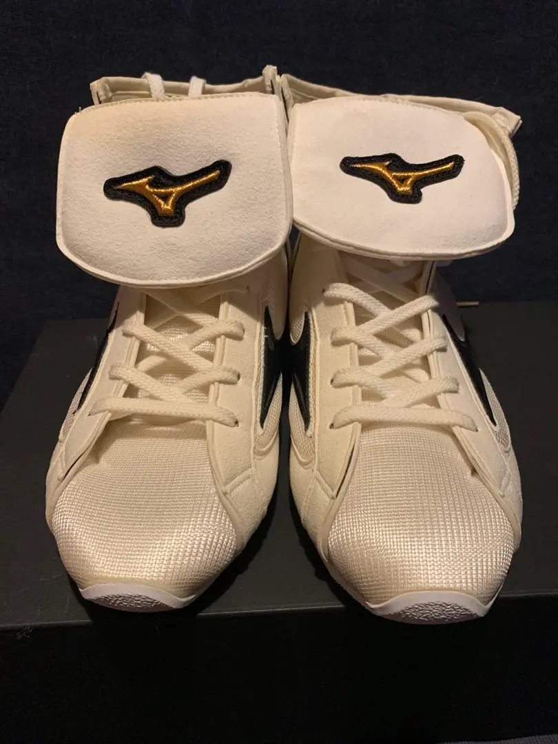 2025年最新】MIZUNO シューズの人気アイテム - メルカリ