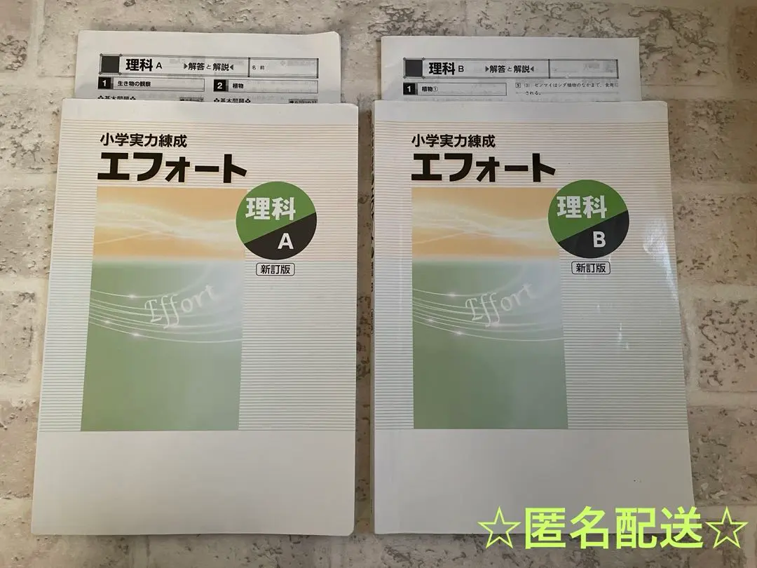 限定値下げ！ 成績UP エフォート教材(小学校復習＋中学校3年間分) 2025年最新】エフォート 中学受験の人気アイテム - メルカリ